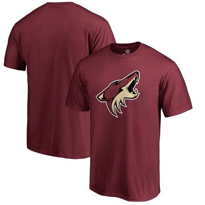 Men's Arizona Coyotes Printed T Shirt 112135