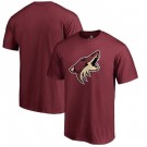 Men's Arizona Coyotes Printed T Shirt 112135