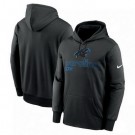 Men's Carolina Panthers Black Performance Pullover Hoodie